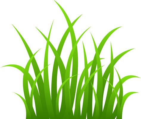 Grass turns orange due to the presence of a rust fungus. Rust fungus can thin and destroy grass. Maintaining the health of the lawn, collecting and disposing of grass clippings, an...